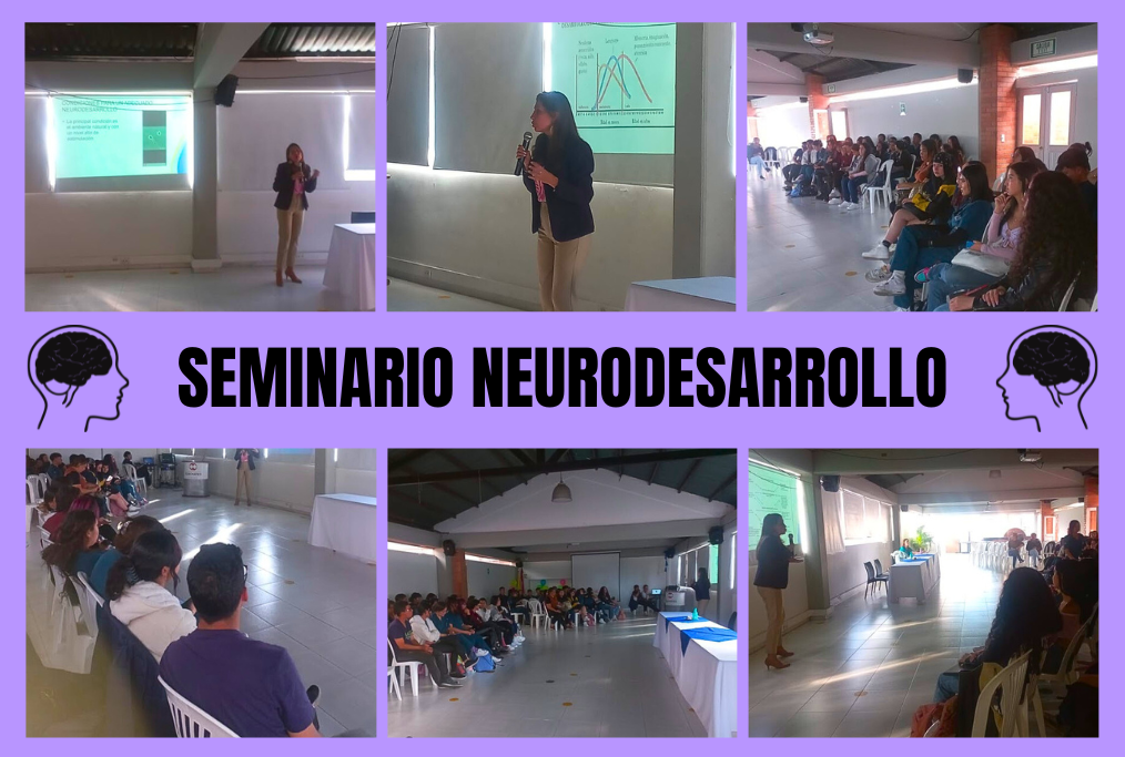 Seminario Neurodesarrollo