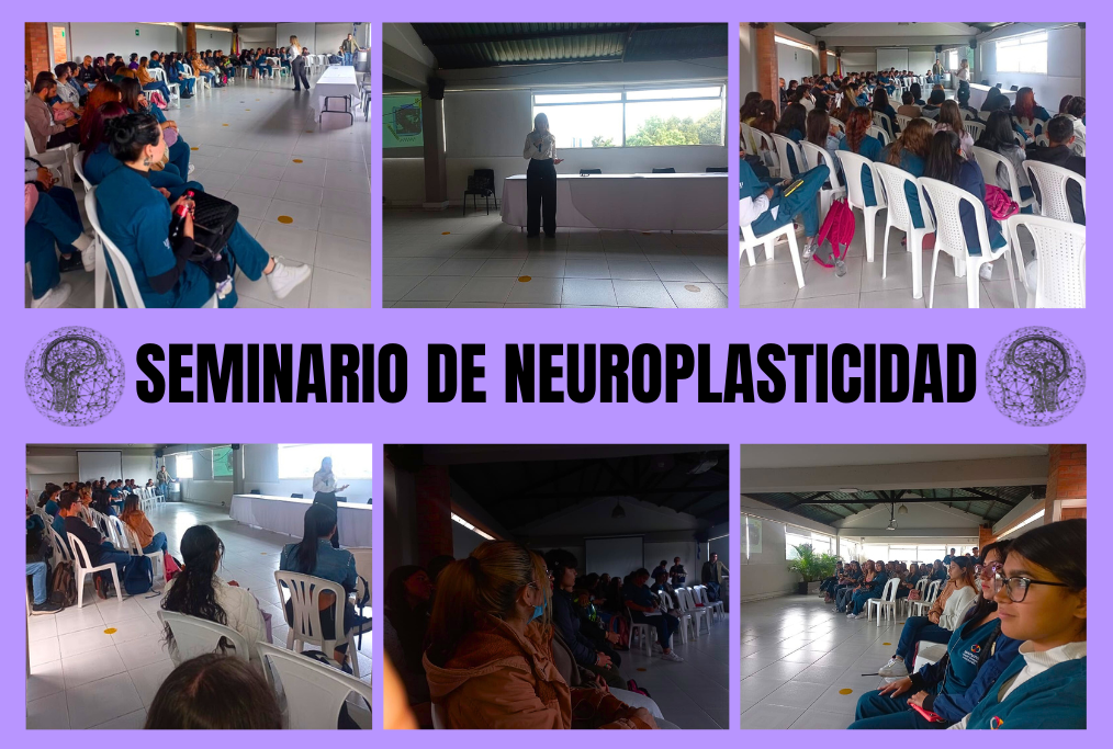 Seminario de Neuroplasticidad
